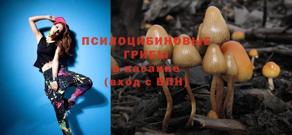 синтетический гашиш Бородино