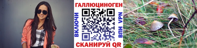 это как зайти Кущёвская Псилоцибиновые грибы мицелий ссылка на мегу вход